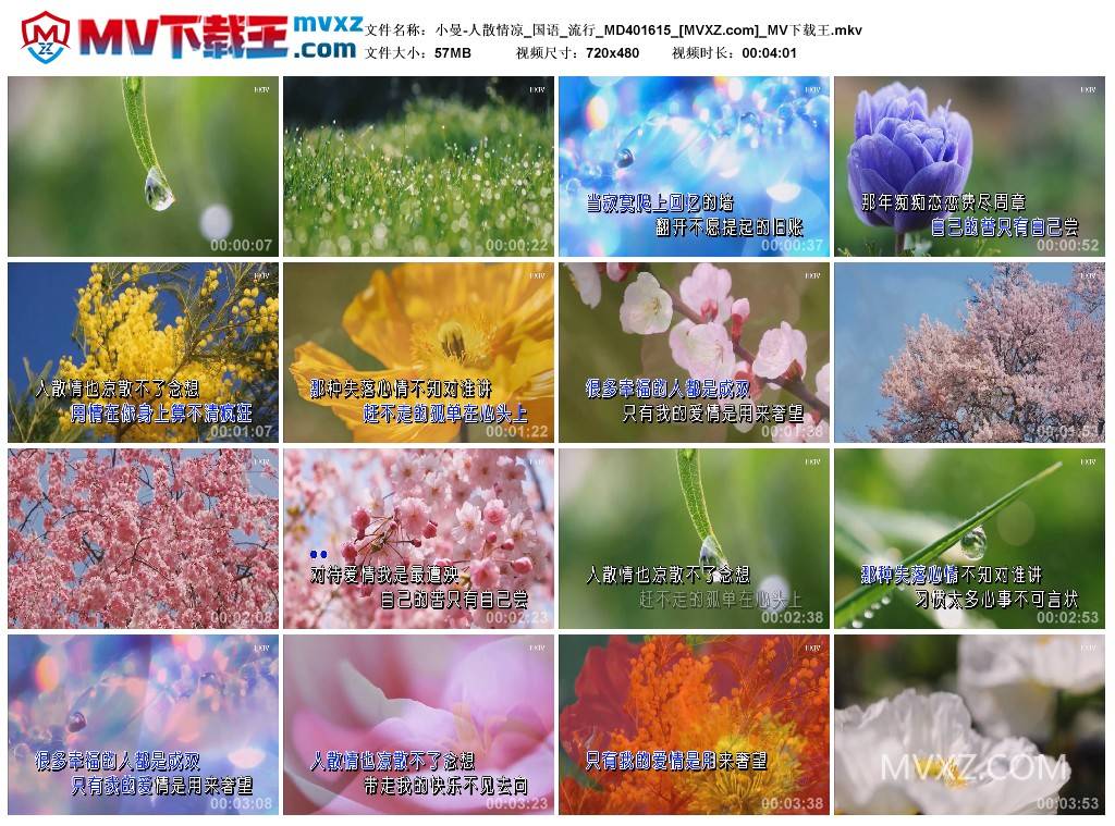 小曼-人散情凉_国语_流行_MD401615